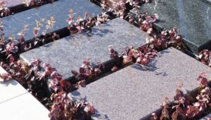 「エテルナ（永遠）」彫刻プレートタイプ